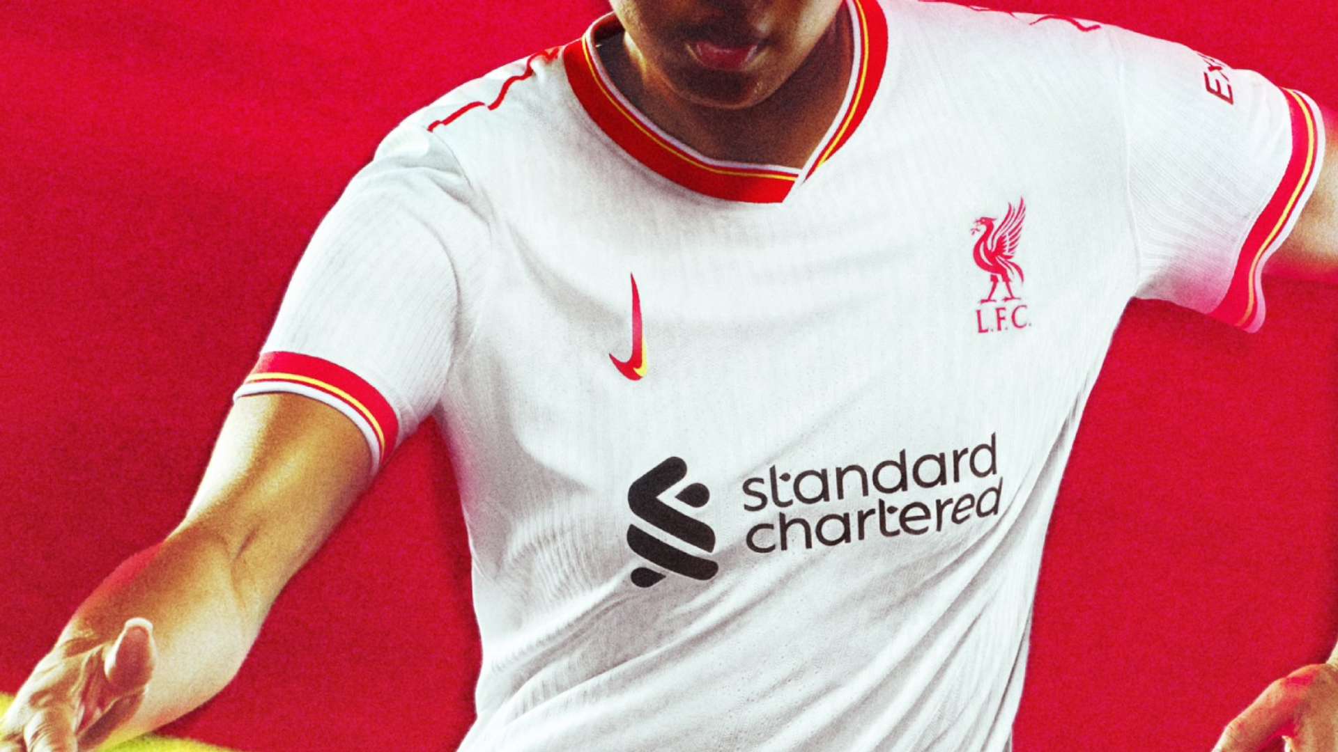 所有参与者 所有参与者